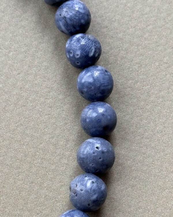 Kaklarota WILD FOREST - BARRAQUITO edition